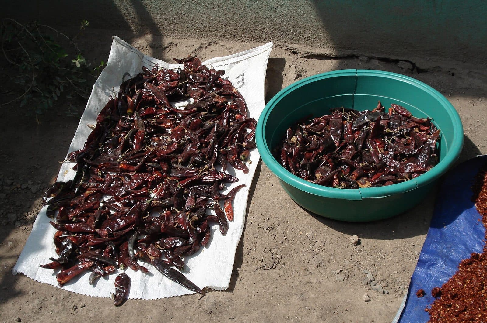 Rote Chilischoten trocknen in der Sonne — die Grundlage für Berbere